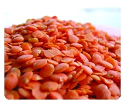 Photograph of lentils