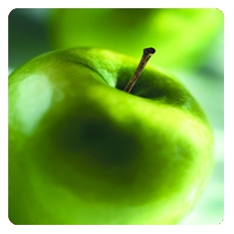 Photograph of apples