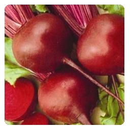 Photograph of beetroot